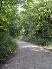 Fototapeta premium Abschnitt Bamberg bis Reundorf