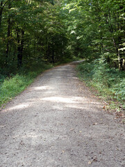 Abschnitt Bamberg bis Reundorf