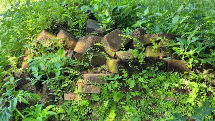 The remains of an ancient building in Laos, Wat Phra That Nang Lao