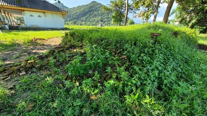 The remains of an ancient building in Laos, Wat Phra That Nang Lao