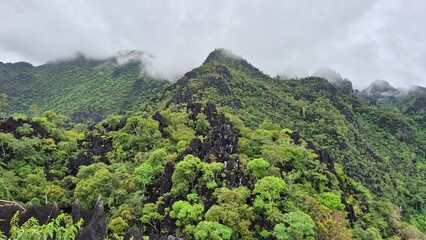 mountain landscape with trees and clouds