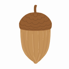 Acorn. Oak tree fruit vector illustration. Hand drawn trendy flat style isolated on white background