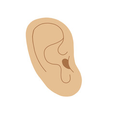 Human ear, body part and organ of hearing to listen sound vector illustration. Hand drawn human ear