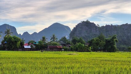 The green rice fields behind are the villages.