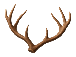 Antlers with a natural brown color and smooth curves