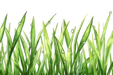 Fototapeta premium Fresh Green Grass Blades with Morning Dew Drops Awaiting Sunlight.