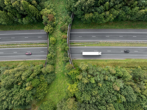 aerial view of a wildlife viaduct