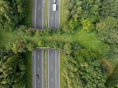 aerial view of a wildlife viaduct