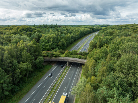 aerial view of a wildlife viaduct