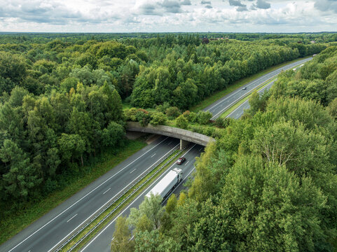 aerial view of a wildlife viaduct