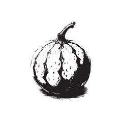 Cantaloupe Vector (3).eps