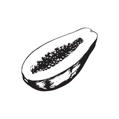 Papaya Vector (2).eps