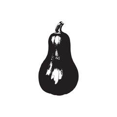 Squash Vector (2).eps