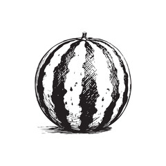 Watermelon Vector (3).eps