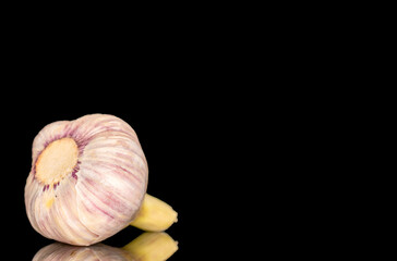 Head of young garlic isolated on black background, close-up.
