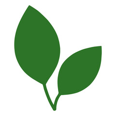 Green leaf icon symbolizing eco nature organic growth sustainability environment