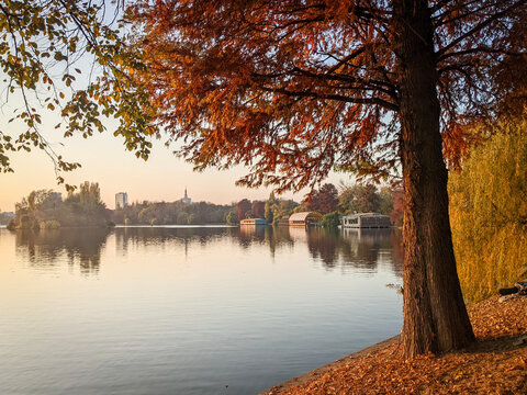 Red and brown leaves on autumn trees next to lake Herăstrău in Bucharest, Romania