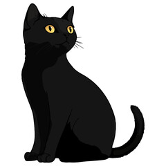 Obraz premium black cat, halloween, festival, vector, transparent background, animal, cat, isolated, adorable, cute, kitty, furry, black, mammal