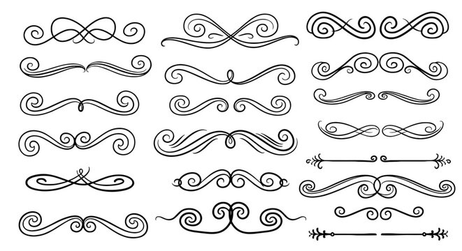 Decorative swirls ornament divider flourishes line art vector graphic design illustration element decoration vintage elegant border separator