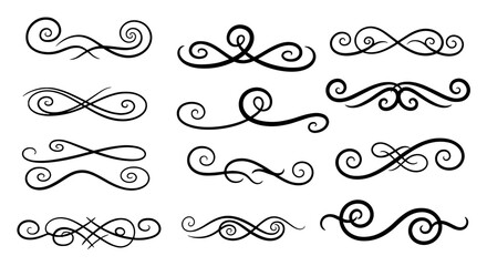 Fototapeta premium Flourish swirl decorative elegant design vector graphic ornament divider line illustration art flourish scroll vintage separator text