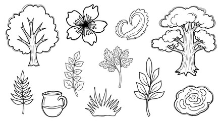 Botanical line art illustration vector graphic design handmade nature plant tree flower leaf cup foliage outline sketch