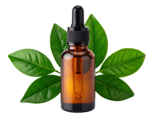 Amber glass dropper bottle with black rubber top and pipette, accented by vibrant green botanical leaves.
