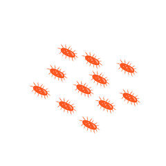 tuberculosis bacteria