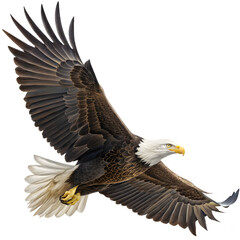 Naklejka premium Close-up of bald eagle spreading wings in flight with sharp focus on feathers and talons