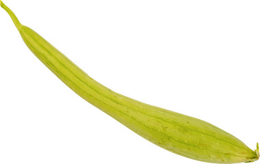 Long green gourd vegetable isolated