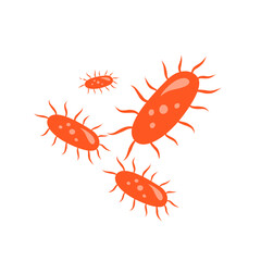 tuberculosis bacteria