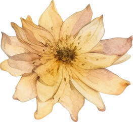 Naklejka premium Vector Watercolor painted flower. Hand drawn flower design elements isolated on white background.