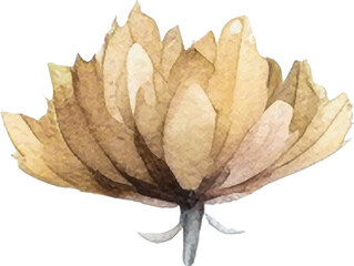 Fototapeta premium Vector Watercolor painted flower. Hand drawn flower design elements isolated on white background.