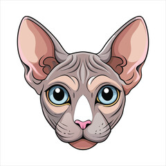 Adorable Cute Sphynx Cat