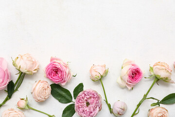 Beautiful pink roses and leaves on white background