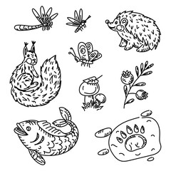 Set of forest animals and plants, doodle. Mushrooms, berries, insects, squirrels, hedgehogs, fish. Graphics, engraving, shading. Black ink drawings markers. Postcard design. Forest, nature, recreation