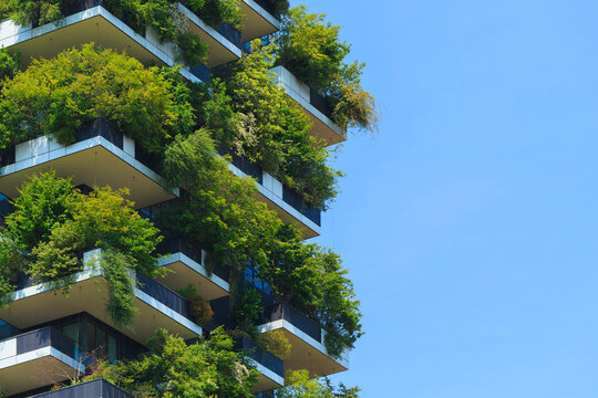 Modern building showcases vertical garden covered in diverse greenery, blending architecture with nature for sustainable living.