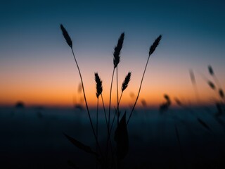 Naklejka premium Silhouettes of tall grass stand against a vibrant sunset sky, showing a gradient of deep blue, purple, and orange hues. A serene natural landscape.