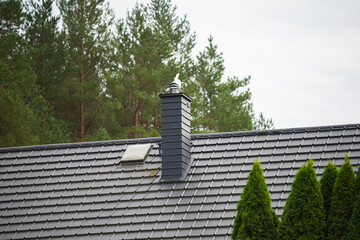 roof of the house with a chimney