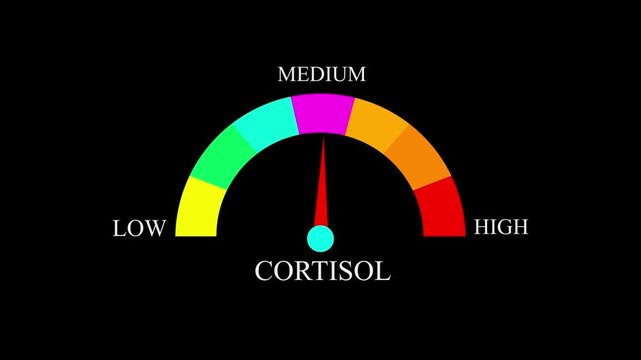 cortisol Level Measuring animation.4K motion animation on a transparent background alpha channel. 4k animation
