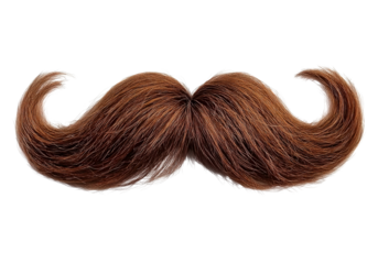 Close up of a man's moustache on transparent background, png file