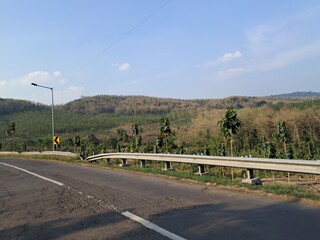 road in the middle of the teak forest