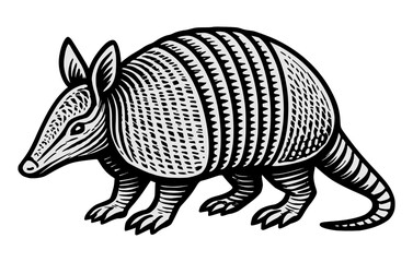 Vector line art illustration Of Armadillo.