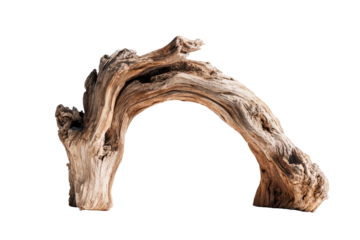 A weathered, arched piece of driftwood