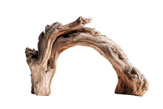 A weathered, arched piece of driftwood