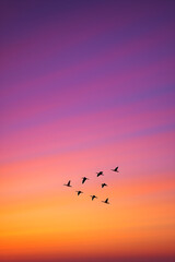 Fototapeta premium Flock of birds flying in formation against vibrant purple and orange sunset sky