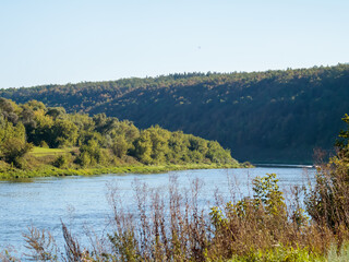 In summer, in the Voronezh region, you can see the Don River, which flows through the forest.