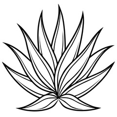 Abstract Aloe Cactus Line Art Vector