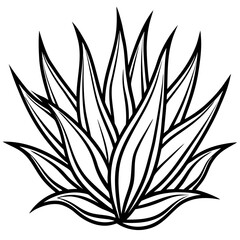 Abstract Aloe Cactus Line Art Vector