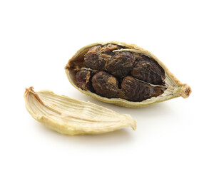 Cardamom spice on white background