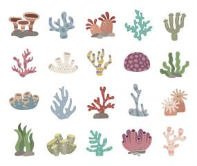 Coral reef set in scandinavian style